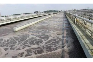 【重要】水中溶解氧越高，處理效果越好么？