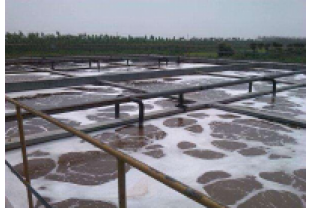 溫度對碳源有什么影響